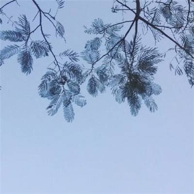 球球啪啪啪游戏