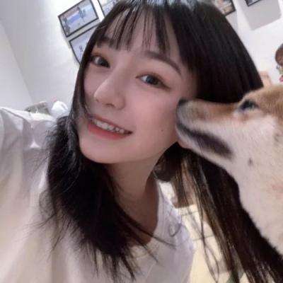 会说话的狼游戏下载